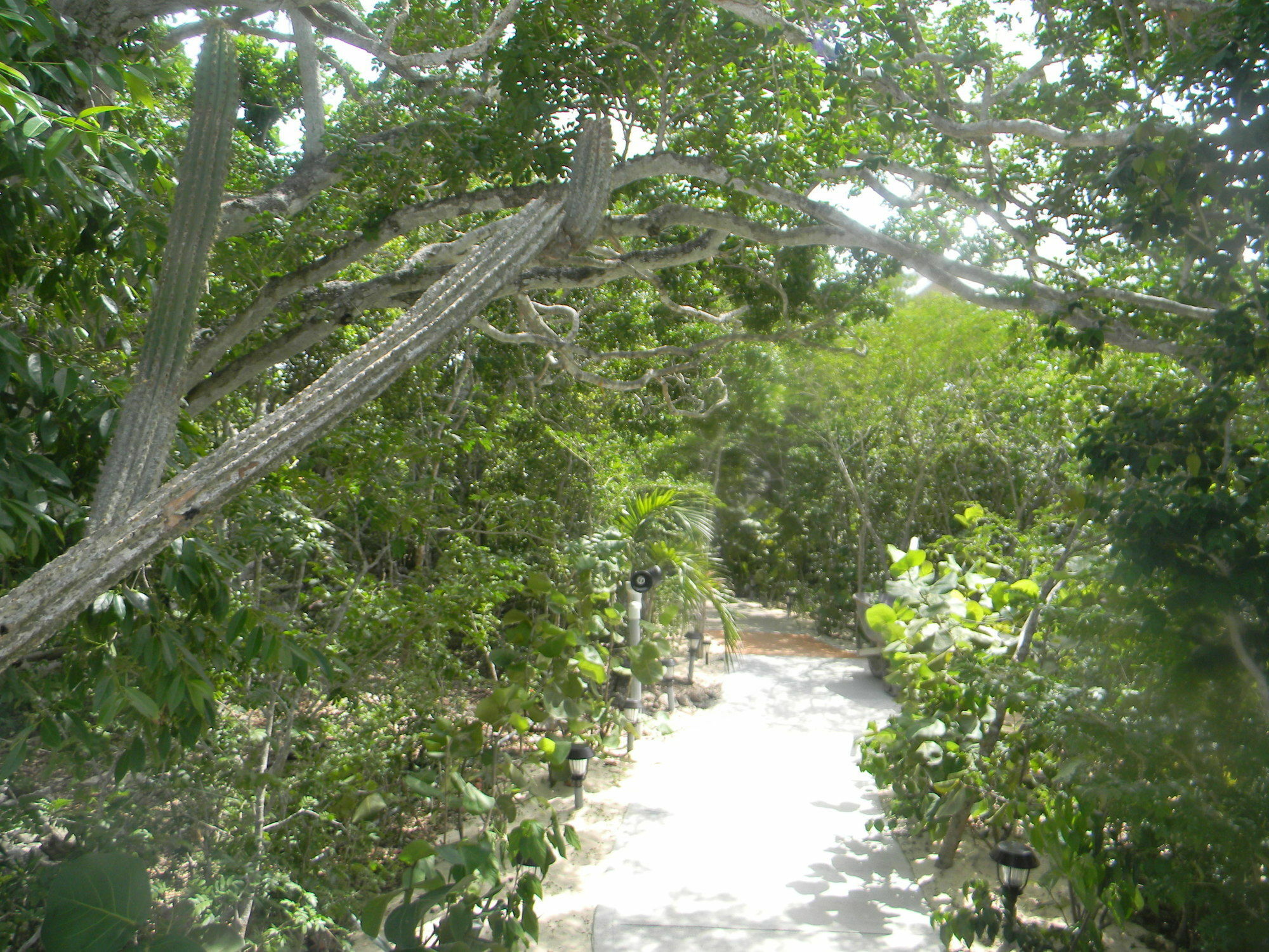 Harbor Breeze Villas Clarence Town Exterior foto